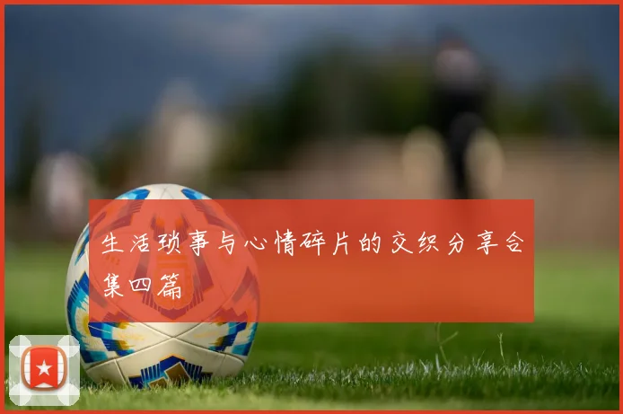 生活琐事与心情碎片的交织分享合集四篇