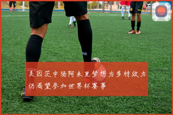 美因茨中场阿米里梦想为多特效力仍渴望参加世界杯赛事