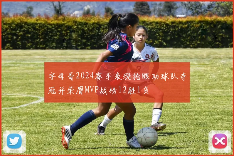 字母哥2024赛季表现抢眼助球队夺冠并荣膺MVP战绩12胜1负